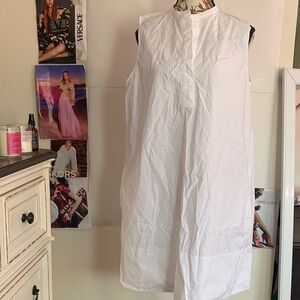 Everlane Classic White Dress